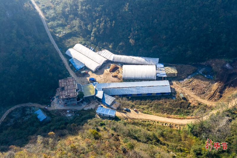 七星关区撒拉溪镇：特色养殖赋能乡村振兴