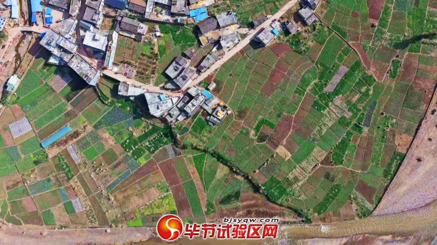 金钟镇寨营村蔬菜基地一角2