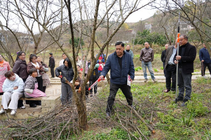 纳雍县平寨社区开展经果林高产栽培技术培训