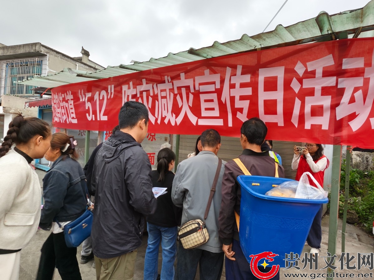黔西市杜鹃街道开展防灾减灾宣传活动