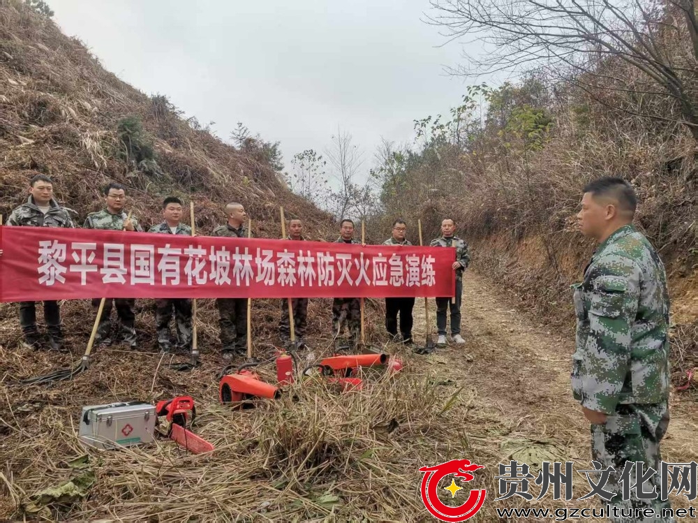 贵州黎平：多措并举 筑牢森林防火安全网