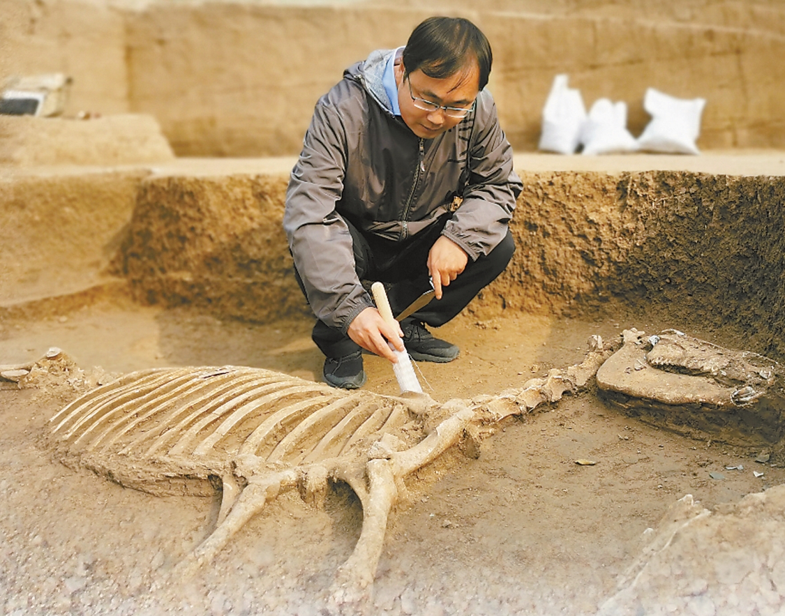 “一把洛阳铲 半部中国史” 考古北京