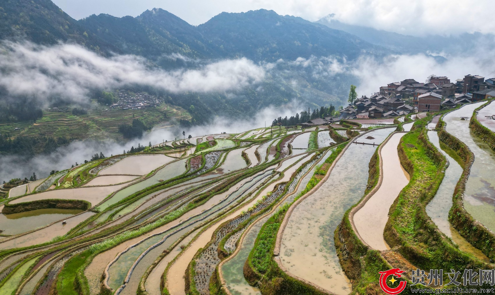 贵州从江：仲春时节 梯田如画