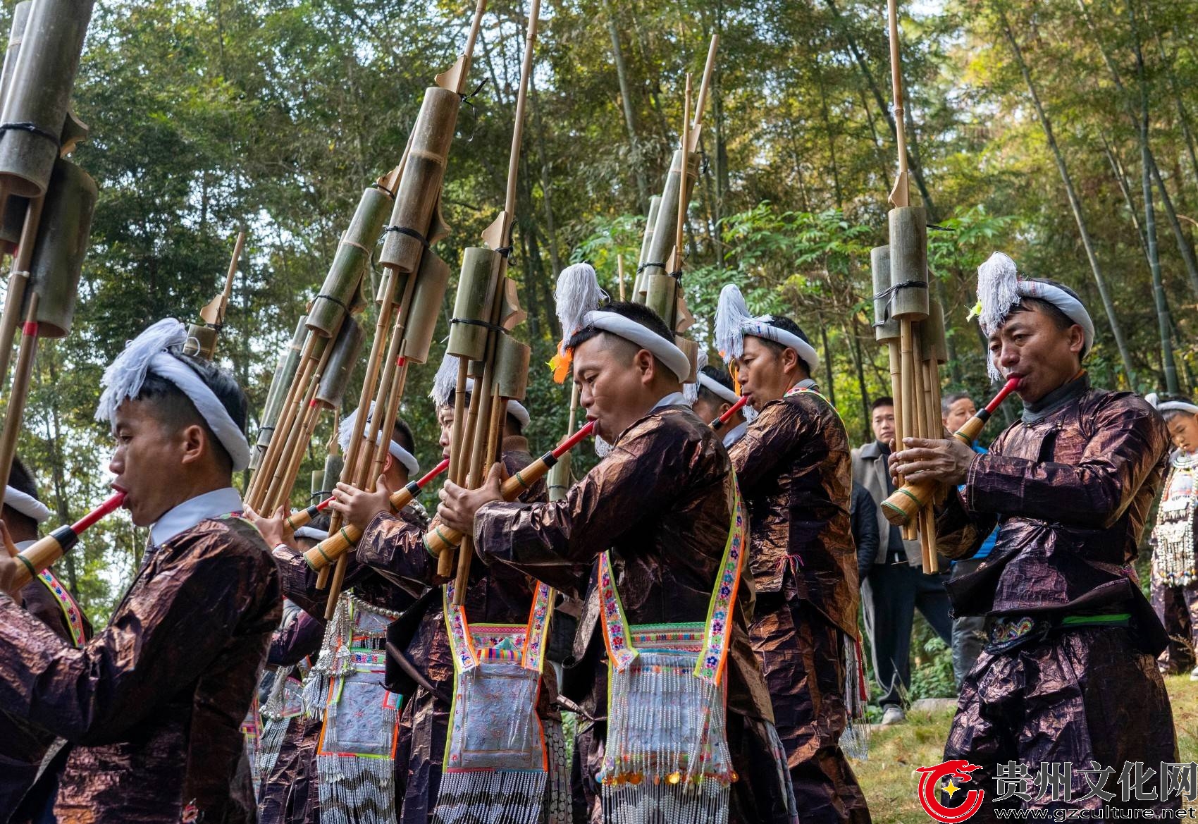 贵州从江：岜沙苗寨欢度芦笙节