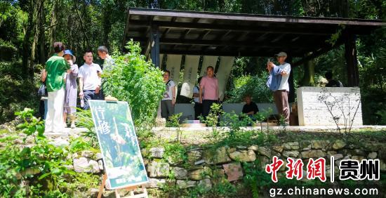 药膳飘香民宿暖 贵州绘就康养旅居新画卷
