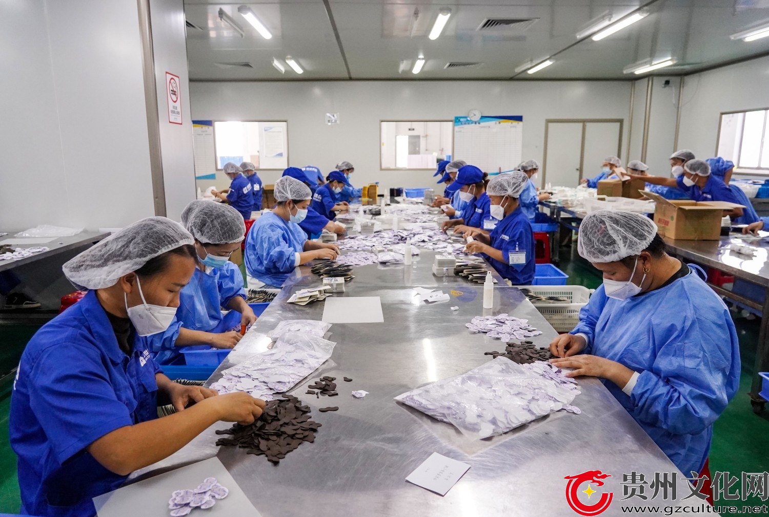 贵州从江：医药企业赶订单