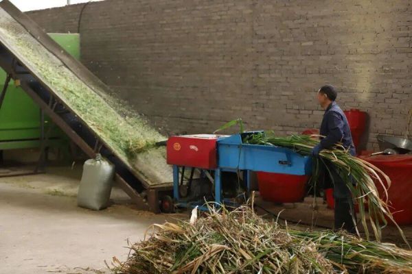 微信图片_2025-12-23_120942_243