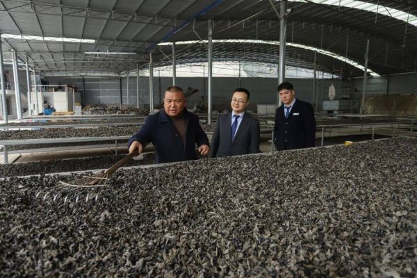 微信图片_2025-12-23_121009_535