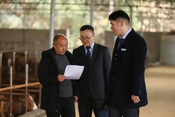 印江：金融活水润乡野 产业振兴谱新篇