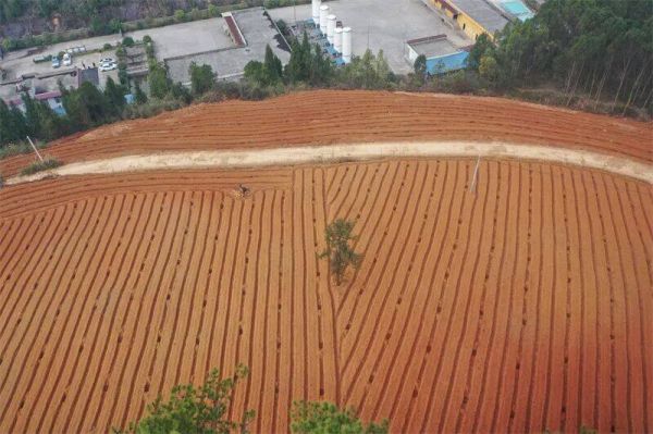 微信图片_2026-01-10_192334_345