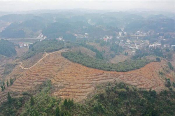 微信图片_2026-01-10_192311_954