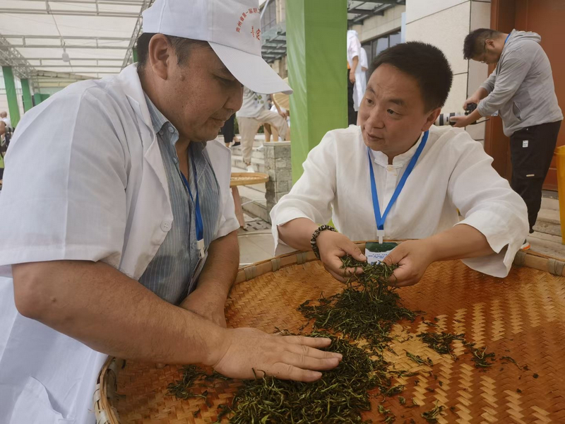 5、黔茶形象大使（<a href=//www.hp-dv.com target=_blank class=infotextkey>非遗传承人</a>）施海作为本次大赛评委、裁判身份现场点评。.jpg