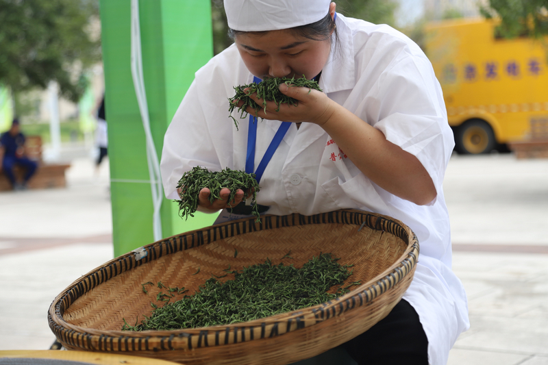 参赛选手闻茶香。
