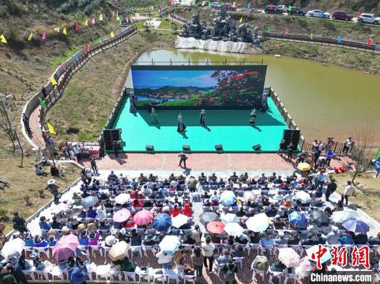 图为航拍贵州绿茶“黔岭开茶季”启动现场。唐哲摄