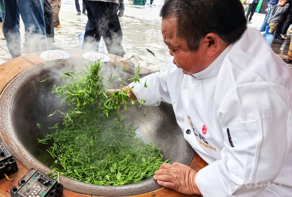 贵州沿河首届古茶斗茶大赛启幕 千年茶脉赋能乡村振兴