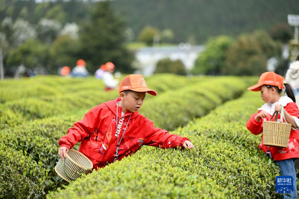 春假研学收获多