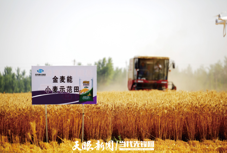 西部陆海新通道贵州行｜磷肥借势新通道 向南奔赴“山海约”