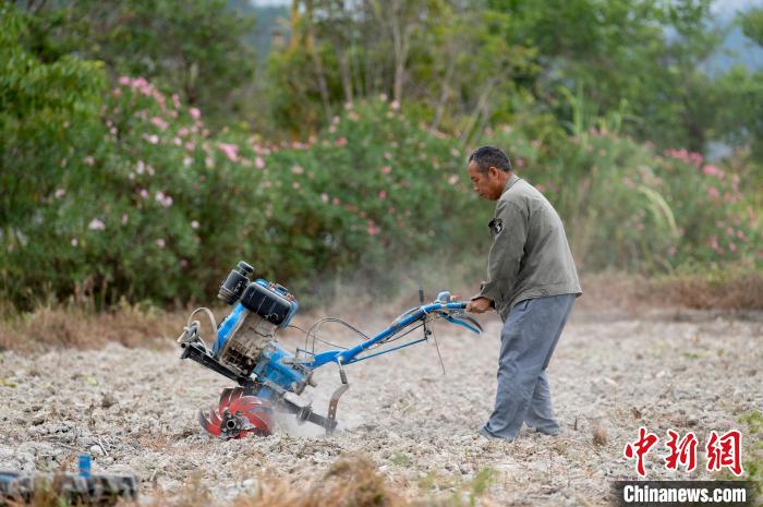 贵州省从江县洛香镇岩寨村的村民在田间耕地。　吴德军 摄