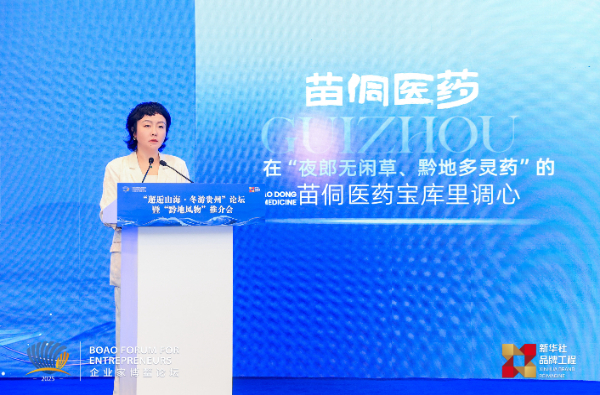 2025企业家博鳌论坛｜贵旅集团邀全球共赴贵州“烟火人间·爽居畅游”之旅