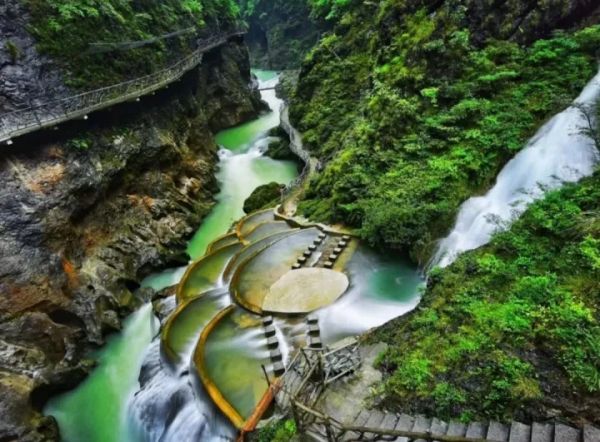 《农民日报》头条关注铜仁：在武陵山间播撒“共富种子”！