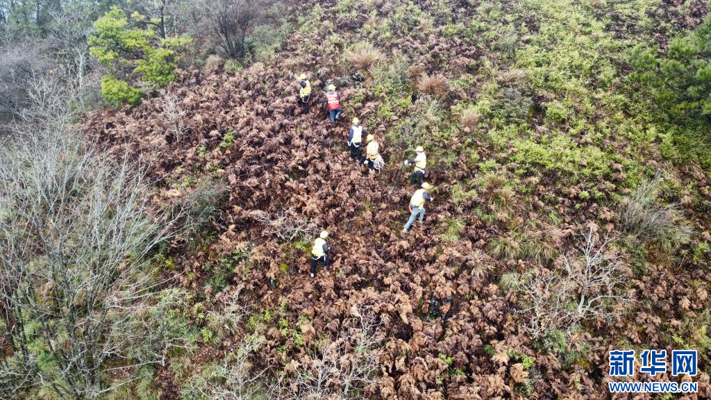 贵州铁路部门深山“体检”除隐患 护航元旦大客流安全出行