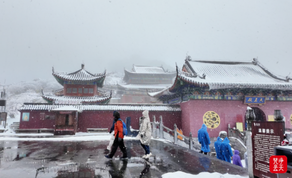 微信图片_2026-01-13_224021_225