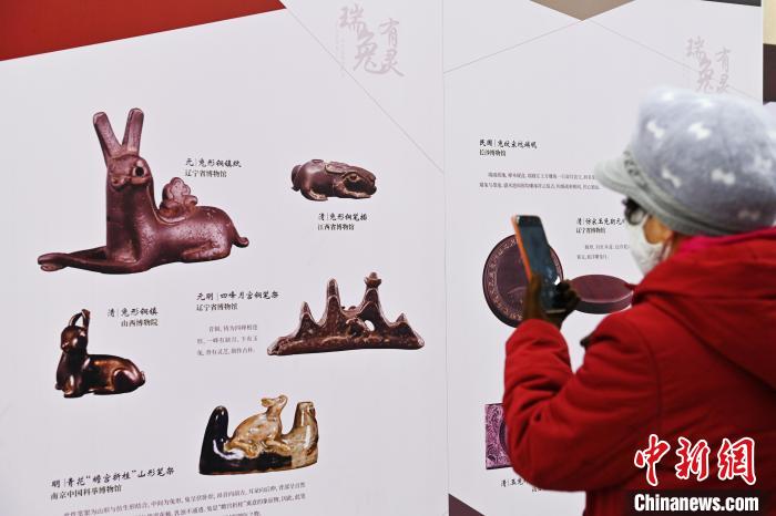 图为1月25日，甘肃省博物馆内，游人正在拍摄兔形文物图片。　李亚龙 摄