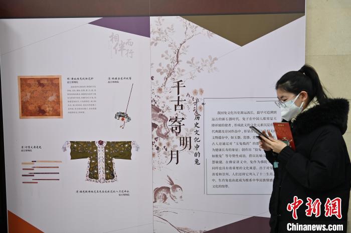 图为1月25日，甘肃省博物馆内，游人拿着展览资料使用手机搜索关于展区内故宫博物院的“兔”元素资讯。　李亚龙 摄