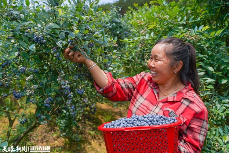 “高颜值”与“高质量”齐头并进！贵州践行“两山”理念绘多彩新卷