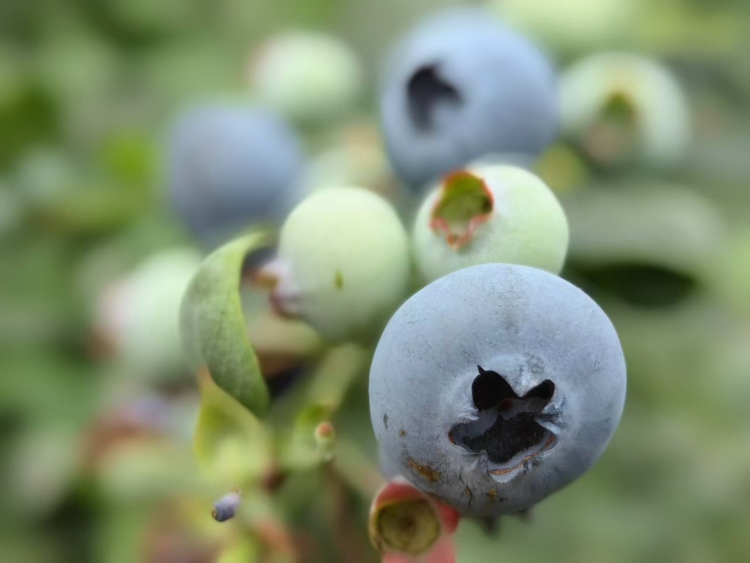 “高颜值”与“高质量”齐头并进！贵州践行“两山”理念绘多彩新卷