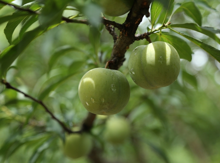 “高颜值”与“高质量”齐头并进！贵州践行“两山”理念绘多彩新卷