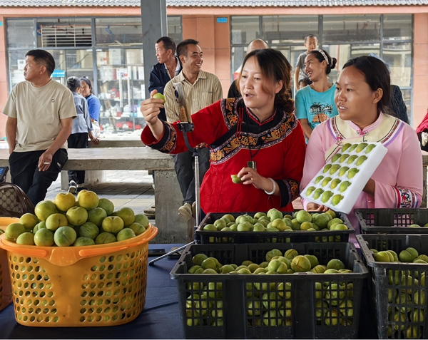 贵州罗甸：石缝生金果 第四届蜂糖李节点亮夏日限定甜蜜_fororder_图片3