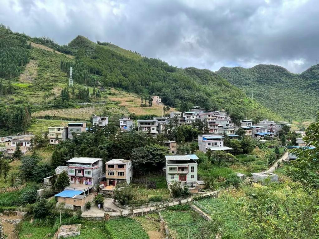 贺兰山下菜心香 麻山儿女逐梦长——记贵州紫云菜农三十载务工奋斗故事