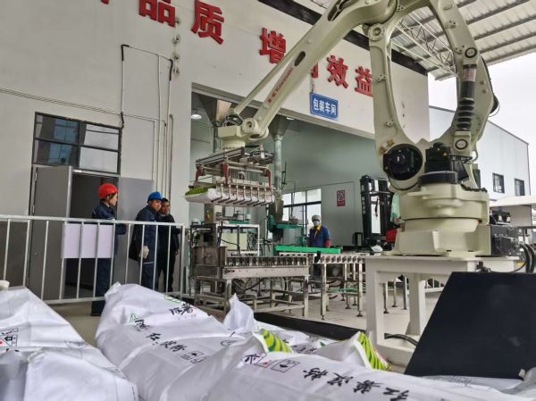 供电员工对淀粉加工用电设备进行检查