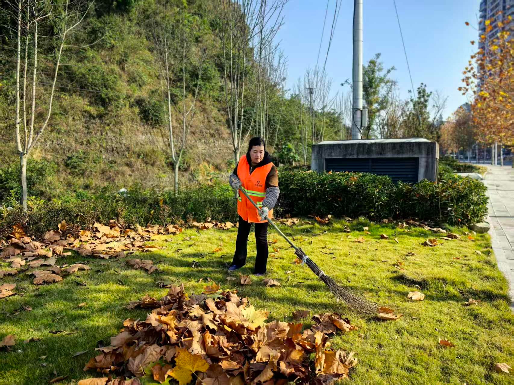 贵州仁怀城市“美容师”杨春先：八年坚守绘“新境”