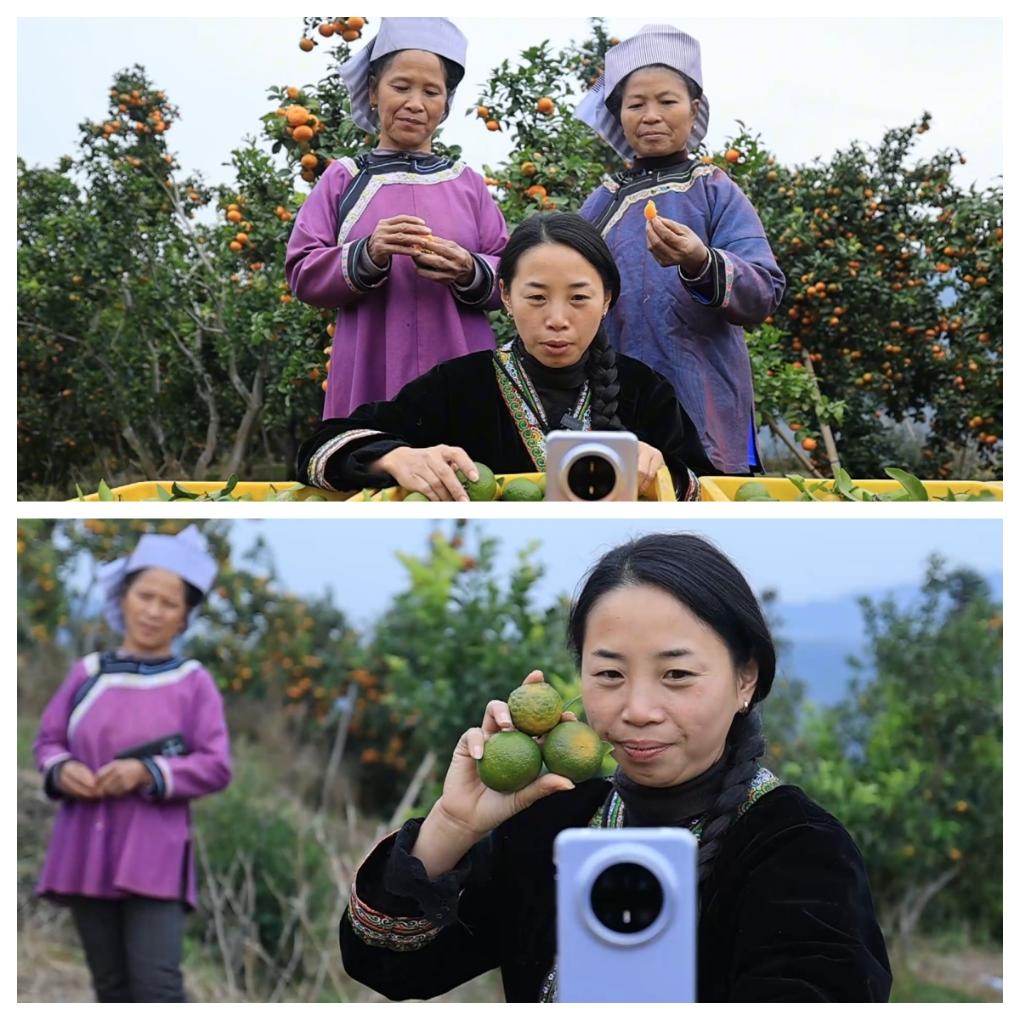 用流量撬动产业 贵州榕江“西瓜妹”将手机变成“新农具”