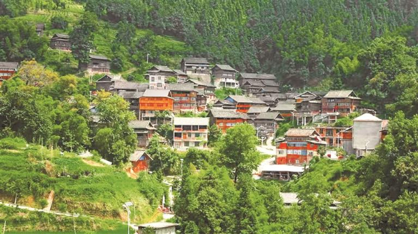 黔桂登晒：一场跨越省域的基层治理新实践