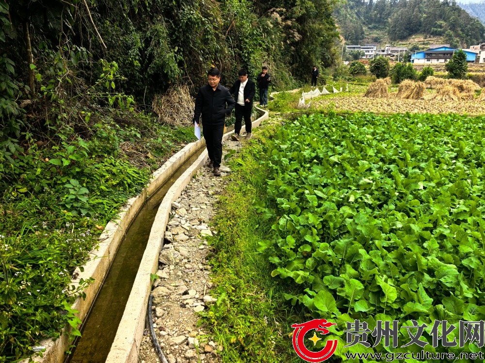 黎平县：修通灌溉渠 润泽千亩田