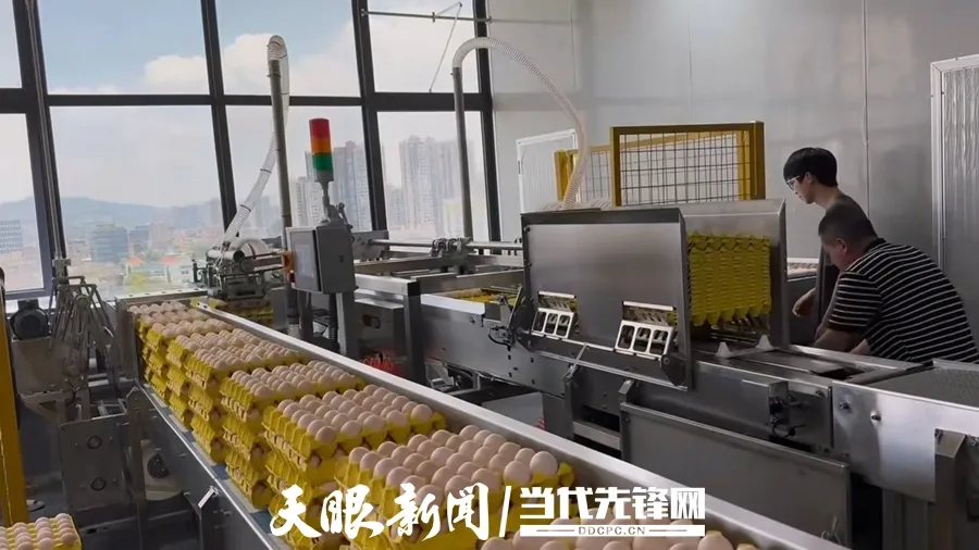 协作拓市场，贵品俏湾区！