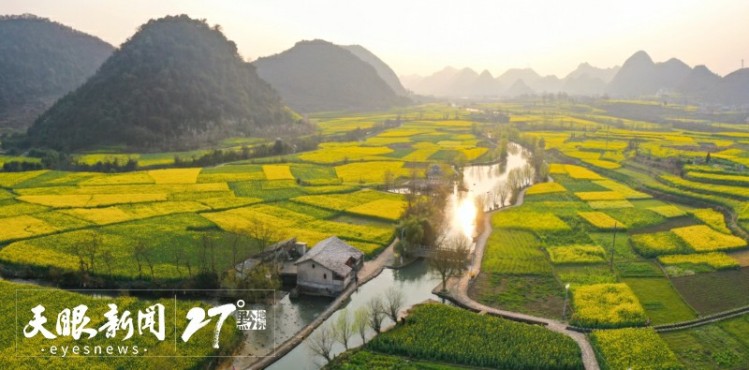 贵州春日“花经济”业态多消费旺