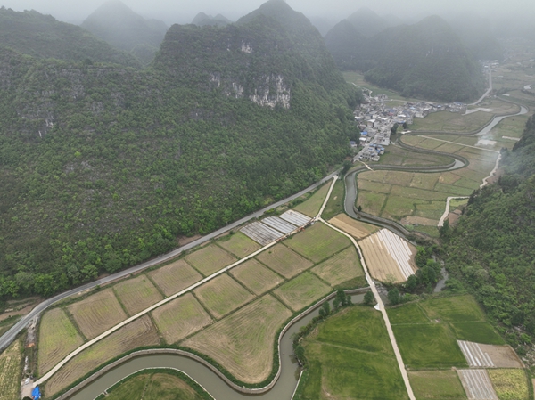 贵州独山上司镇：钵体育秧“工厂化” 育出春耕“好苗头”