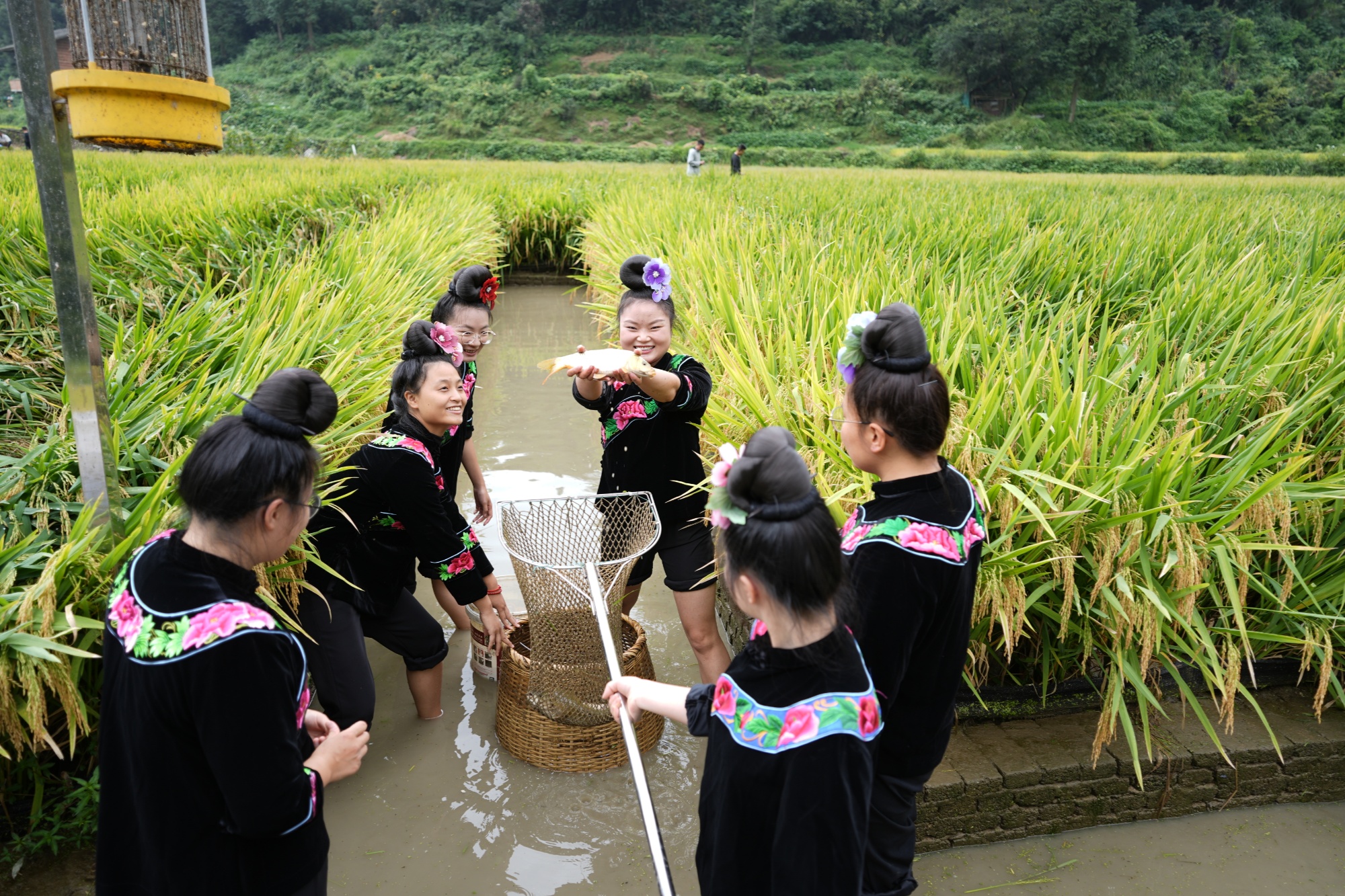 贵州台江：提质升级产业集群激活乡村振兴新活力