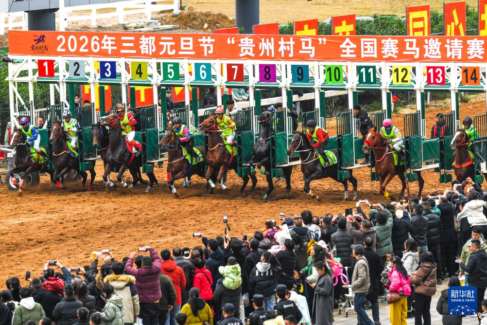 贵州“村马”迎元旦