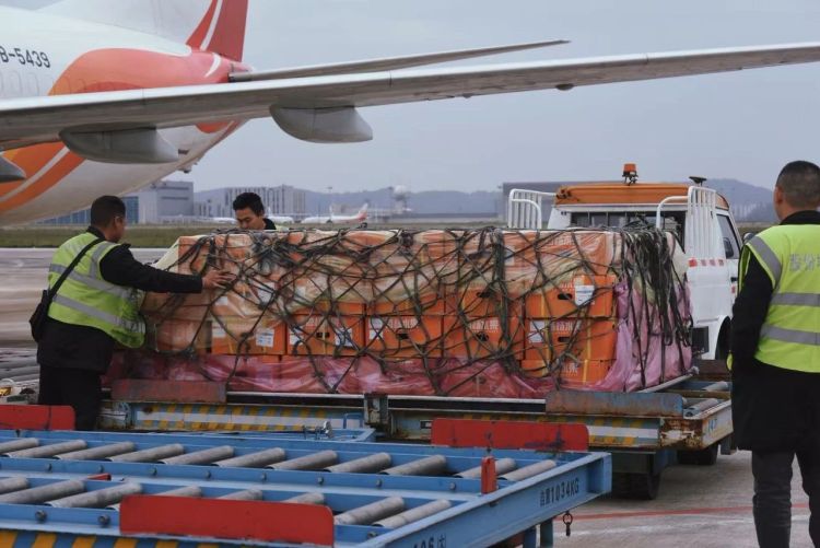 贵州“一局四中心”国际货运航线上半年进出港货量增长迅猛