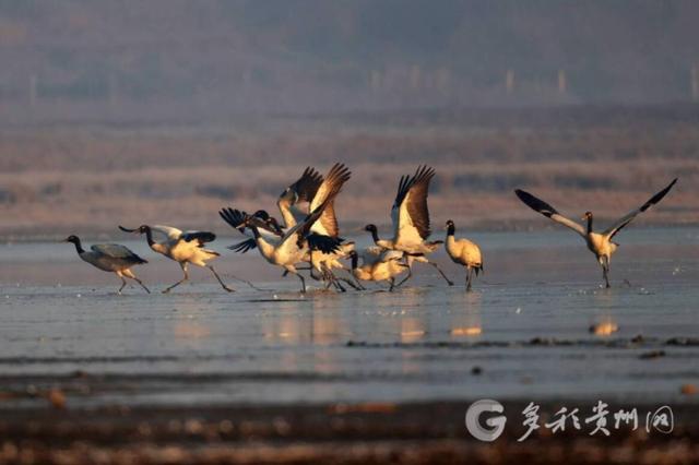 贵州草海国家级自然保护区总体规划获国家林草局批复