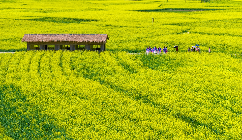 贵州施秉：踏青赏花享春光