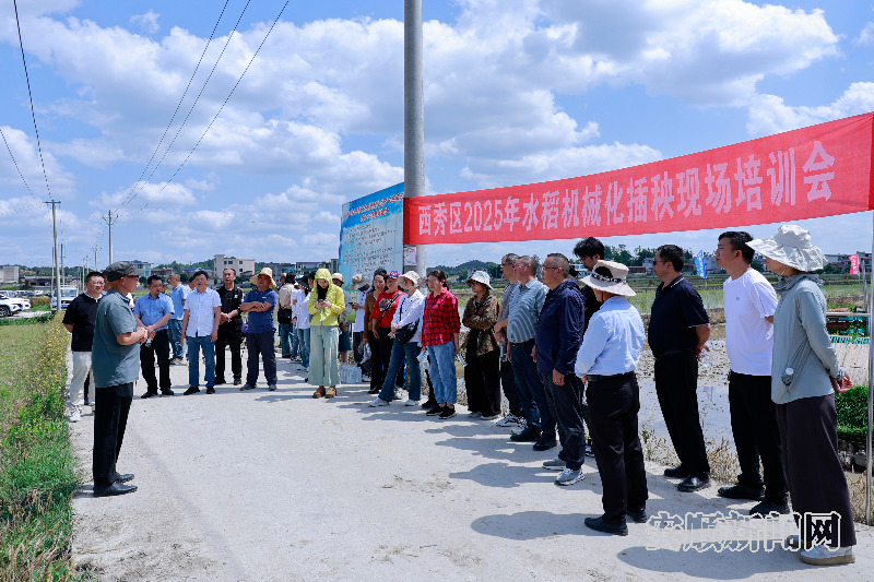 西秀区2025年水稻机械化插秧现场培训会举行