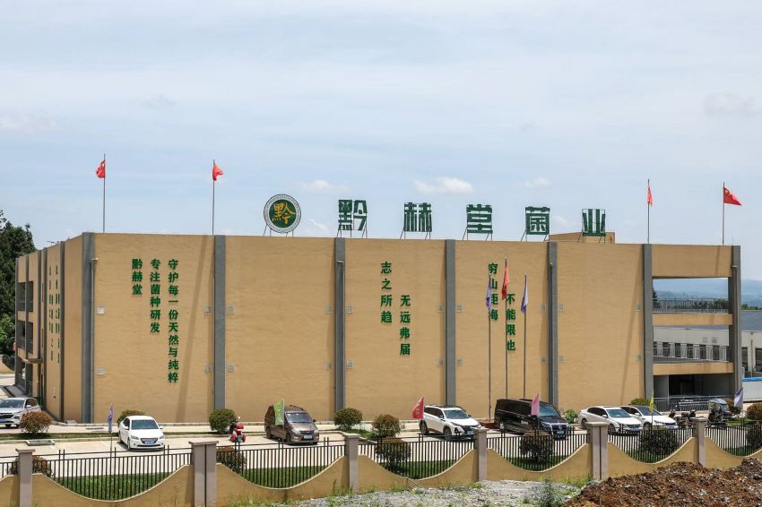 赫章县平山镇：天麻菌棒产业兴 激活乡村振兴新动能