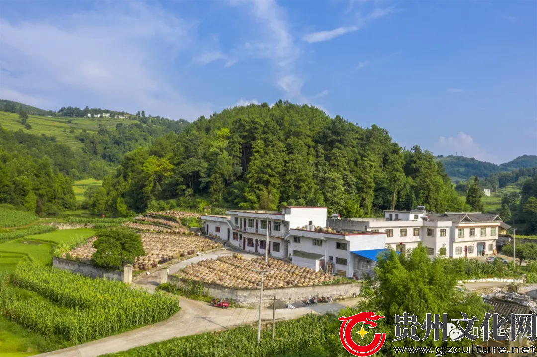 贵州非遗:金沙禹谟温家醋