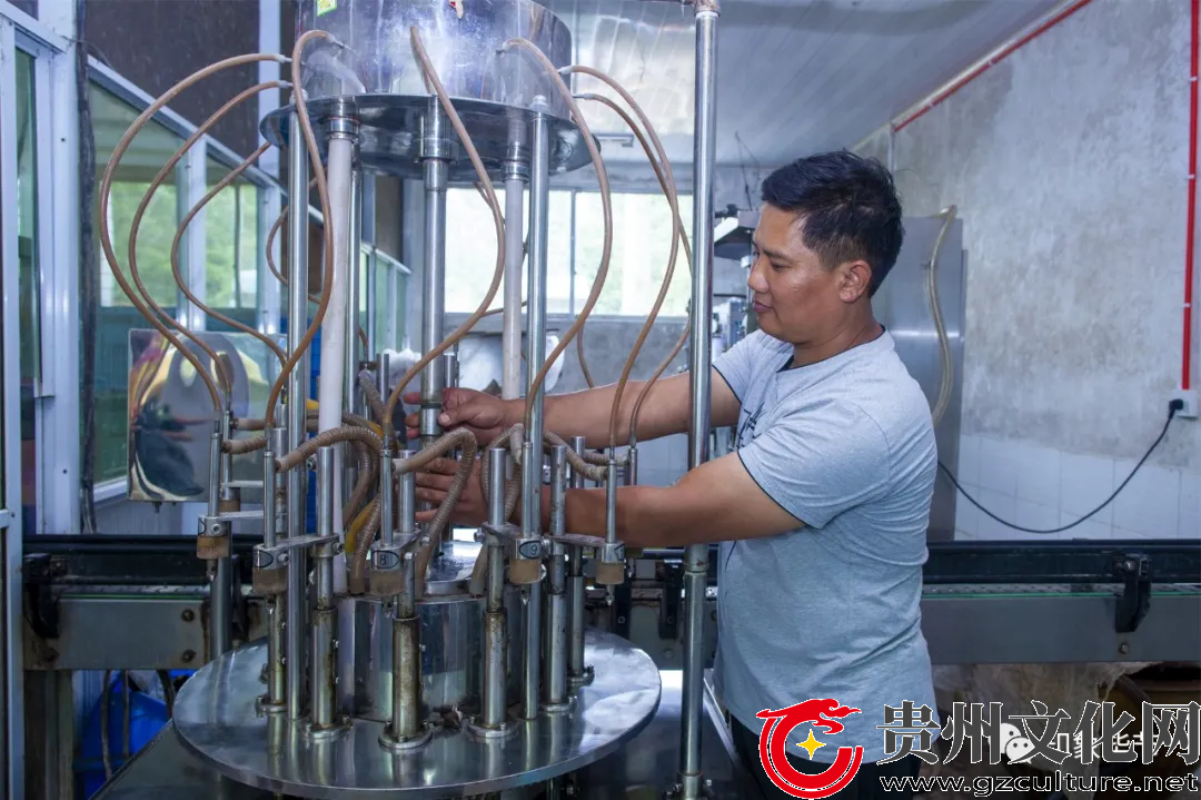 贵州非遗:金沙禹谟温家醋